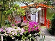 2009年4月19日（日）の画像