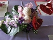 2009年10月8日（木）の画像