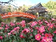 2010年1月28日（木）の画像