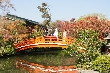 2010年2月22日（月）の画像