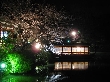 2010年4月5日（月）の画像