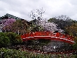 2010年4月7日（水）の画像