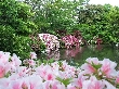 2010年5月6日（木）の画像