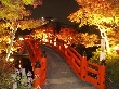 2010年11月10日（水）の画像