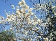 2011年2月26日（土）の画像