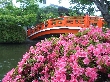 2011年4月28日（木）の画像