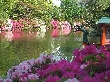 2011年4月29日（金）の画像