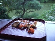 2011年12月6日（火）の画像