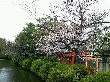 2012年4月5日（木）の画像
