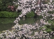 2012年4月12日（木）の画像