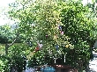2012年8月8日（水）の画像