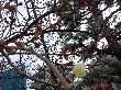 2013年2月20日（水）の画像