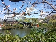 2013年3月21日（木）の画像