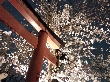 2013年3月28日（木）の画像