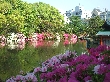 2013年5月14日（火）の画像
