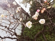 2016年2月21日（日）の画像